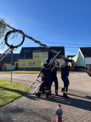 Feuerwehrleute richten eine umgeknickte Birke auf einer Straße wieder auf.